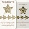 Glitter Star Ribbon Golden Star Sparkly Ribbon Trim Embellishment for Crafts Gift Wrapping Wreath DIY 1 Roll 20 Yards 0.8 Inch